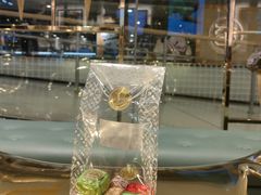 -VENCHI 闻绮(北京国贸商城店)