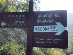 -北京鹫峰国家森林公园
