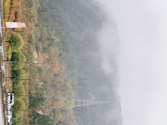 -武陵山森林公园