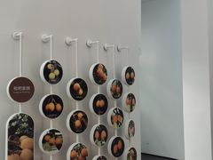 -塘栖枇杷特色园区