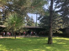 景点-承德避暑山庄景区