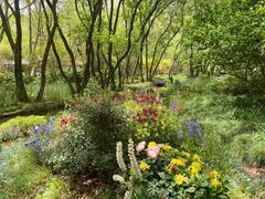 -上海共青森林公园