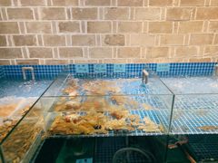-小时候焗海鲜(鄞州万达店)
