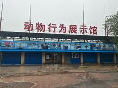 -秦皇岛野生动物园