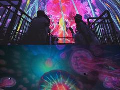 -烟台海昌鲸鲨海洋公园