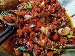 -饭怕鱼(阳光100店)