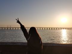 -宝安西湾红树林湿地公园