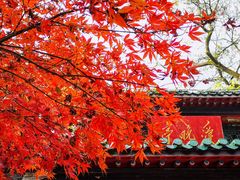 -岳麓山风景名胜区