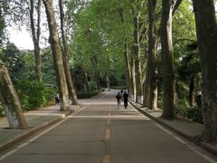 -武汉大学-樱园