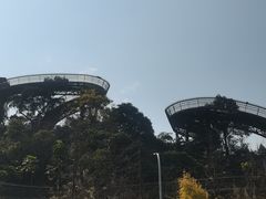 -福道