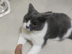 -东莞宠友24H宠物中心医院·转诊夜诊·异宠(新河北路院)