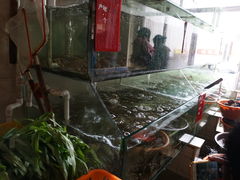 -鸿旺海鲜楼(平潭流水店)