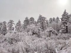 -秦岭风景区