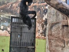 -石家庄市动物园