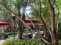 -杭州西子湖四季酒店-WL BISTRO西湖餐厅(灵隐路店)