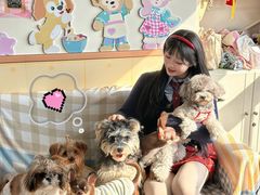 -汪说·狗咖·拼豆·宠物周边DIY(旺城大厦店)