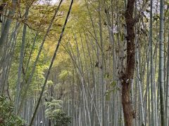 -杭州黄龙洞