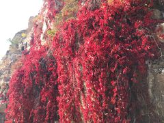 -南窖乡水峪村山情农家