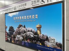 -同济大学(地铁站)