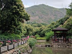 -月亮湾公园
