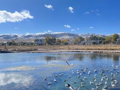 -青海湖国家重点风景名胜区