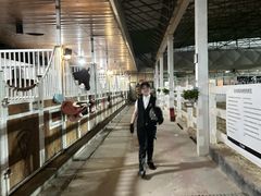 -名驭国际马术学院