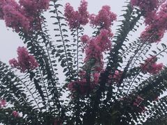 -杭州城北体育公园