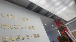 -睫乐园•睫公馆•美睫美甲沙龙