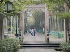 -云栖竹径