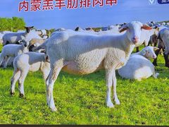 -叁宝烧烤 西安烧烤 领跑品牌(学府路店)