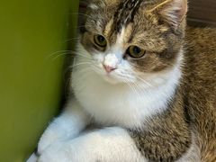 -平行世界·猫咖(首经贸店)