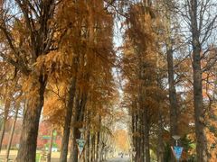 -东湖磨山景区