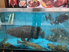 -四海之家(蛇口店)