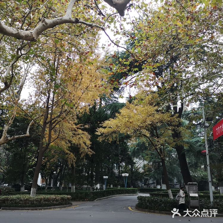静静得在这迷人の校园走上一圈，真的是心旷神怡啊