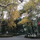 静静得在这迷人の校园走上一圈,真的是心旷神怡啊