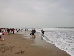 -东海岛旅游度假区