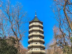 -灵谷景区