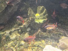 -太平洋海底世界