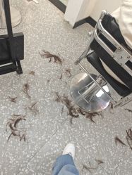 -HD HAIR STYLE