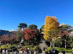 -浅草寺