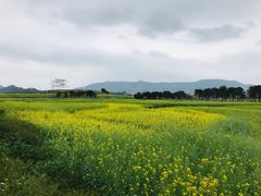 -光明小镇欢乐田园