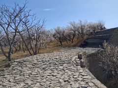 -龙泉峪长城