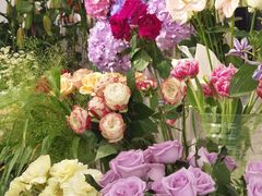 -Gigi Florist·Dk Coffee