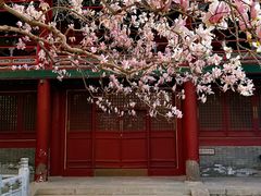 -潭柘寺景区