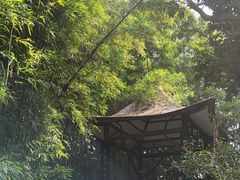 -广州兰圃