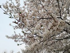 -玉山公园