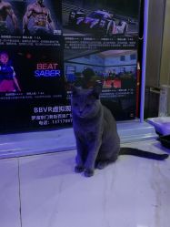 -BBVR团建聚会体验馆·亲子DIY手工