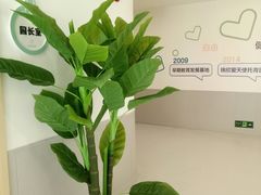 -锦欣爱天使托育园(狮子山园)