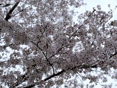 -长田漾湿地公园