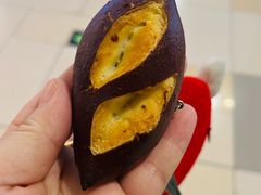 -鹏欣水游城